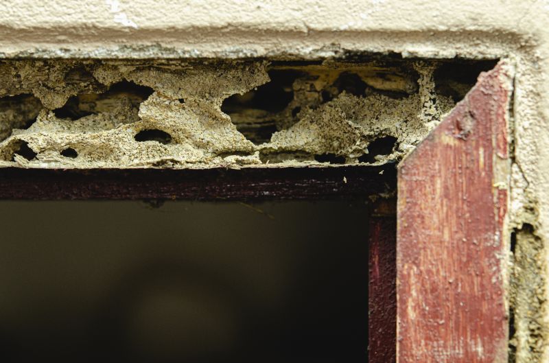 Cost of Exterior Wood Door Restoration — Cost of Exterior Wood Door Restoration